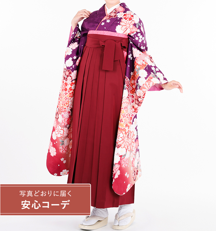 卒業式レンタル　振袖Mサイズ＋袴セット　ブランド：H・L（アッシュエル）絞り風　束ね熨斗桜流水　紫