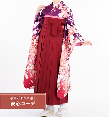 卒業式レンタル　振袖Mサイズ＋袴セット　ブランド：H・L（アッシュエル）絞り風　束ね熨斗桜流水　紫