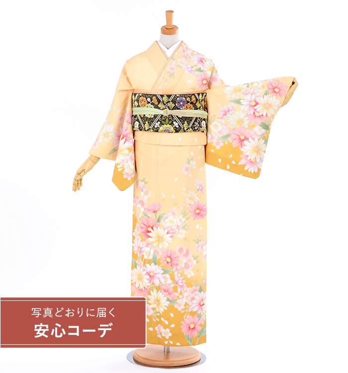 【写真どおりに届く安心コーデ】訪問着レンタル　訪問着Sサイズ　菊桜舞　クリームオレンジ