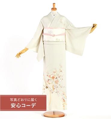 【写真どおりに届く安心コーデ】夏訪問着レンタル　夏訪問着Mサイズ　熨斗に秋草と橘　薄黄緑