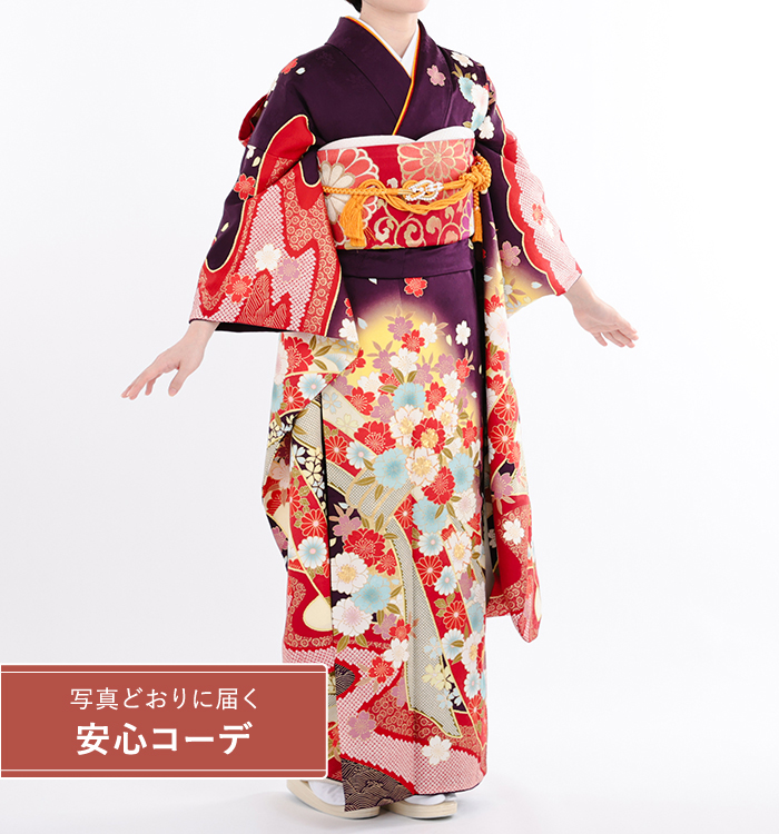 【写真どおりに届く安心コーデ】振袖レンタル　振袖Sサイズ　熨斗模様に桜と菊　紫　