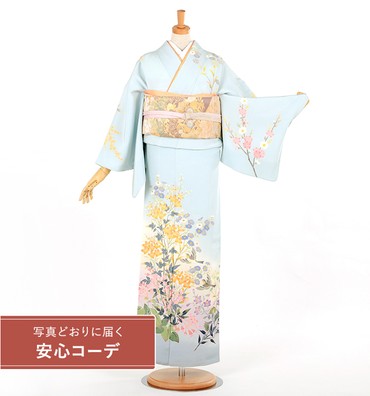 【写真どおりに届く安心コーデ】訪問着レンタル　訪問着LLサイズ　加賀友禅：藤藁隆　花鳥風月　水色