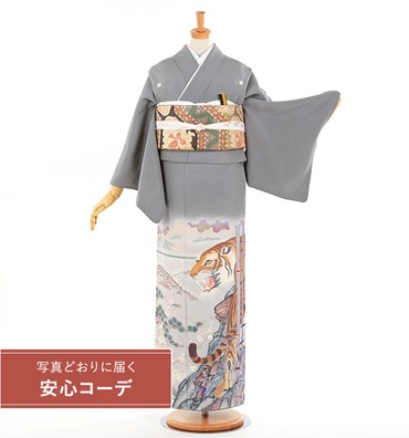 【写真どおりに届く安心コーデ】色留袖レンタル　色留袖Mサイズ　京友禅：虎　グレー 五つ紋：桔梗