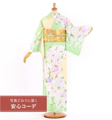 【写真どおりに届く安心コーデ】訪問着レンタル　訪問着Lサイズ　桜　黄緑/クリーム