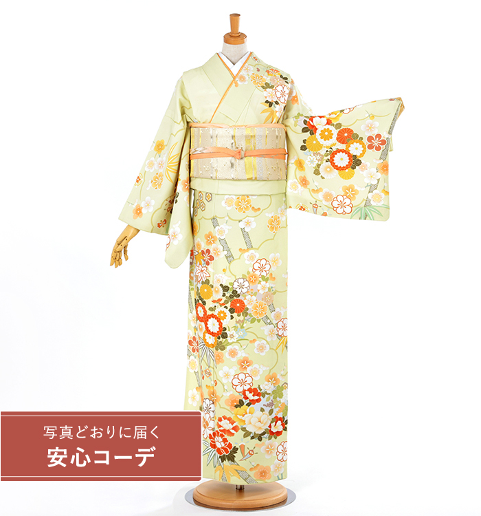 【写真どおりに届く安心コーデ】訪問着レンタル　訪問着LLOサイズ　雲取四季花　黄緑